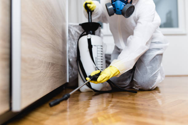 Best Wasp Removal Services  in Newport East, RI