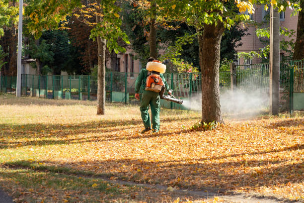Pest Prevention Services in Newport East, RI