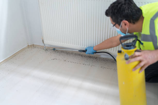 Reliable Newport East, RI Pest Control Solutions